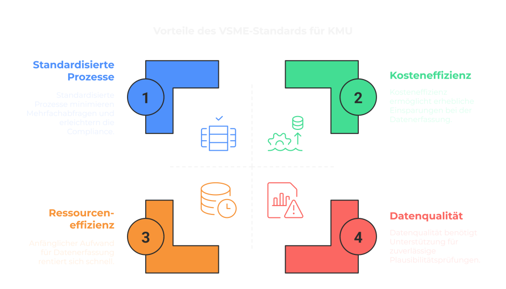 Vorteile der VSME für KMU