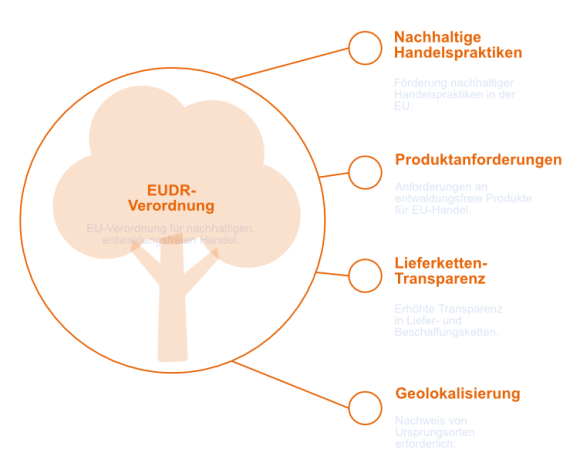 EUDR Circle Infografik zu den Bausteinen der EUDR Verordnung, AEP Solution4 EUDR Software